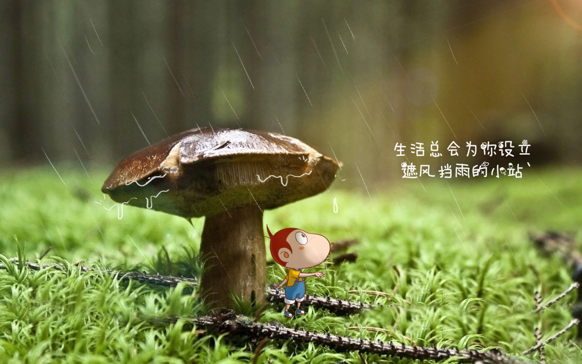 开云体育官方app-《我的世界》建筑大赛与《Roblox》开发者挑战赛的创意游戏赛事，我的世界建筑大师比赛