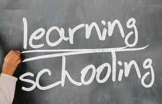 开云体育下载APP-中小学体育教师教学技能提升路径研究,中小学体育教师应具备的教学技能
