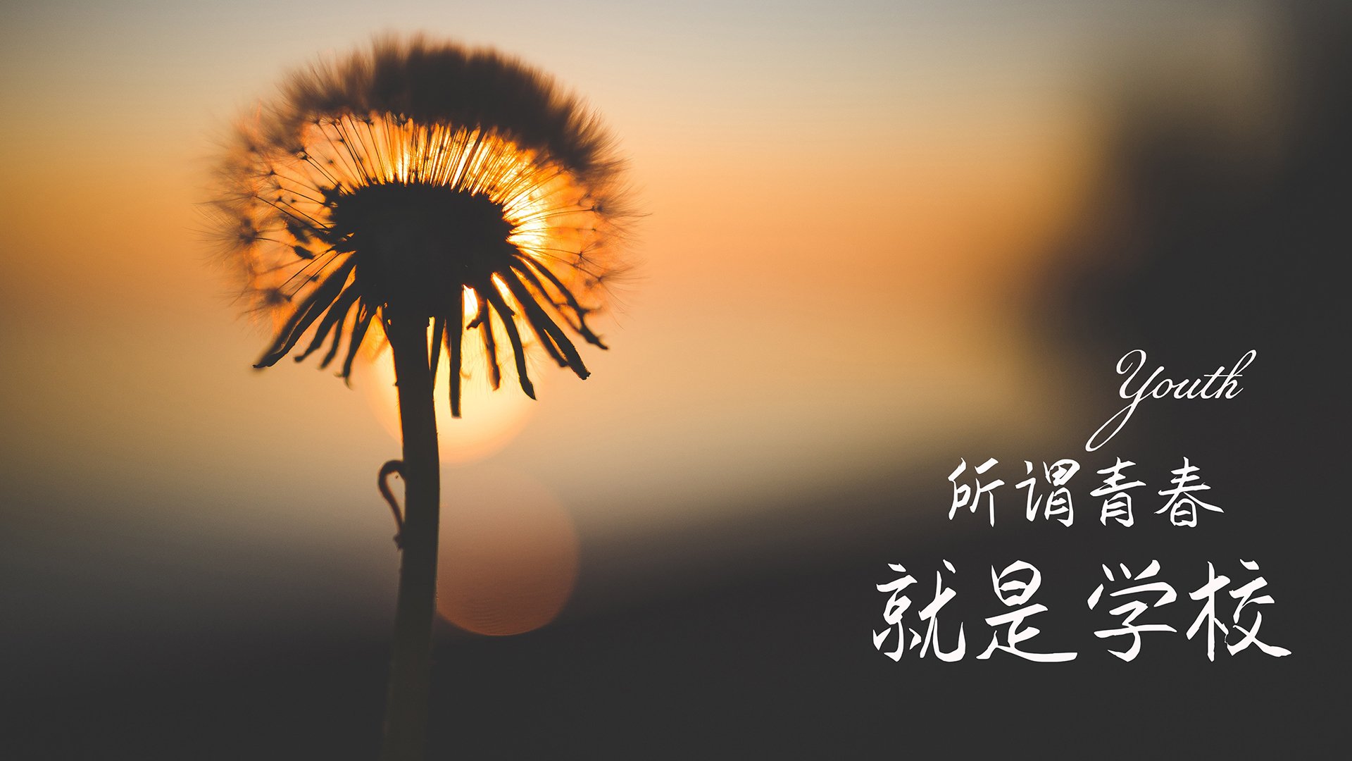 开云体育首页-英超青训引入虚拟现实技术提升球员战术理解力,英超青年队