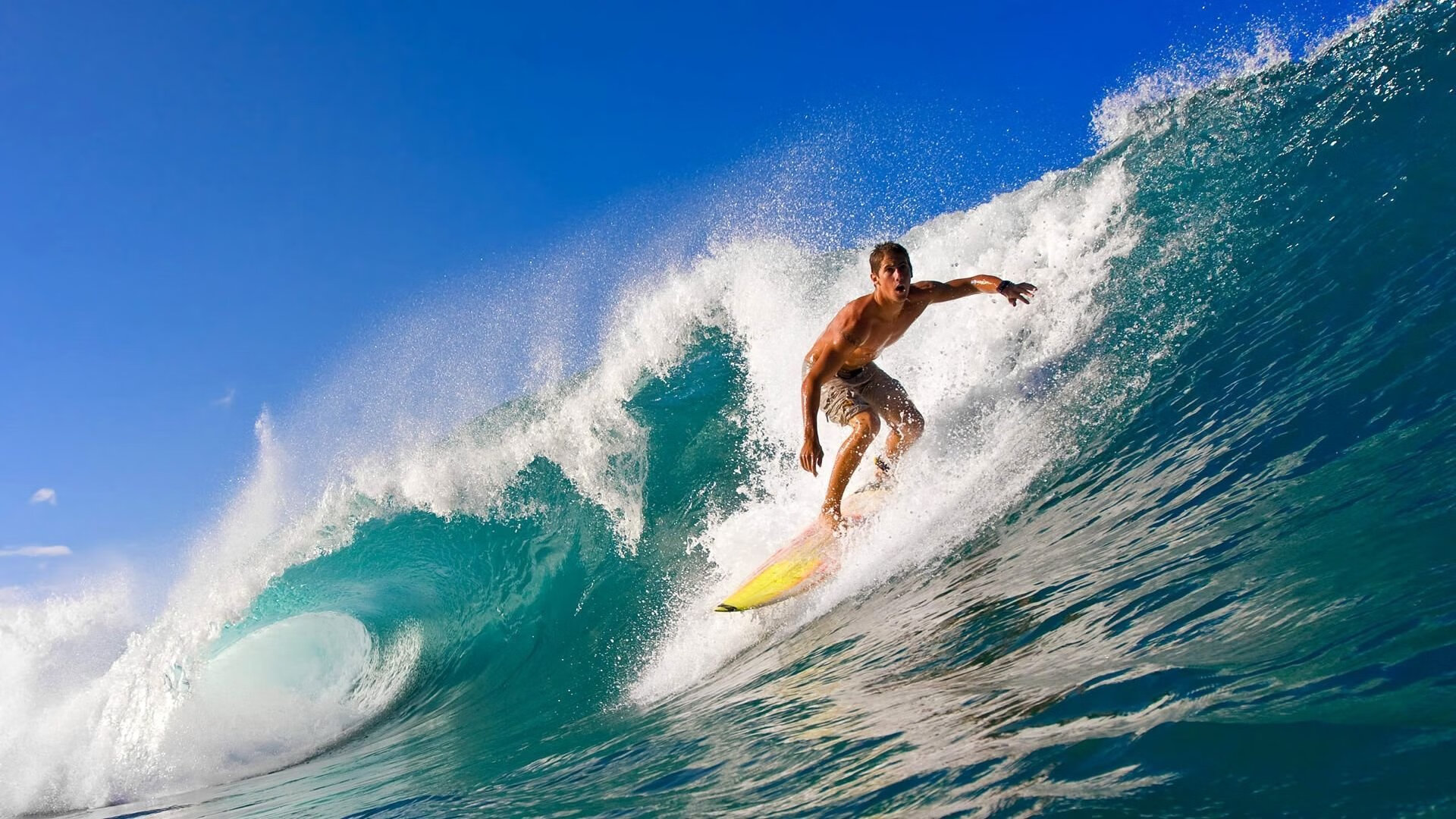 开云下载-球迷收藏版：欧洲足球“永恒经典”全纪录，欧洲足球记录者